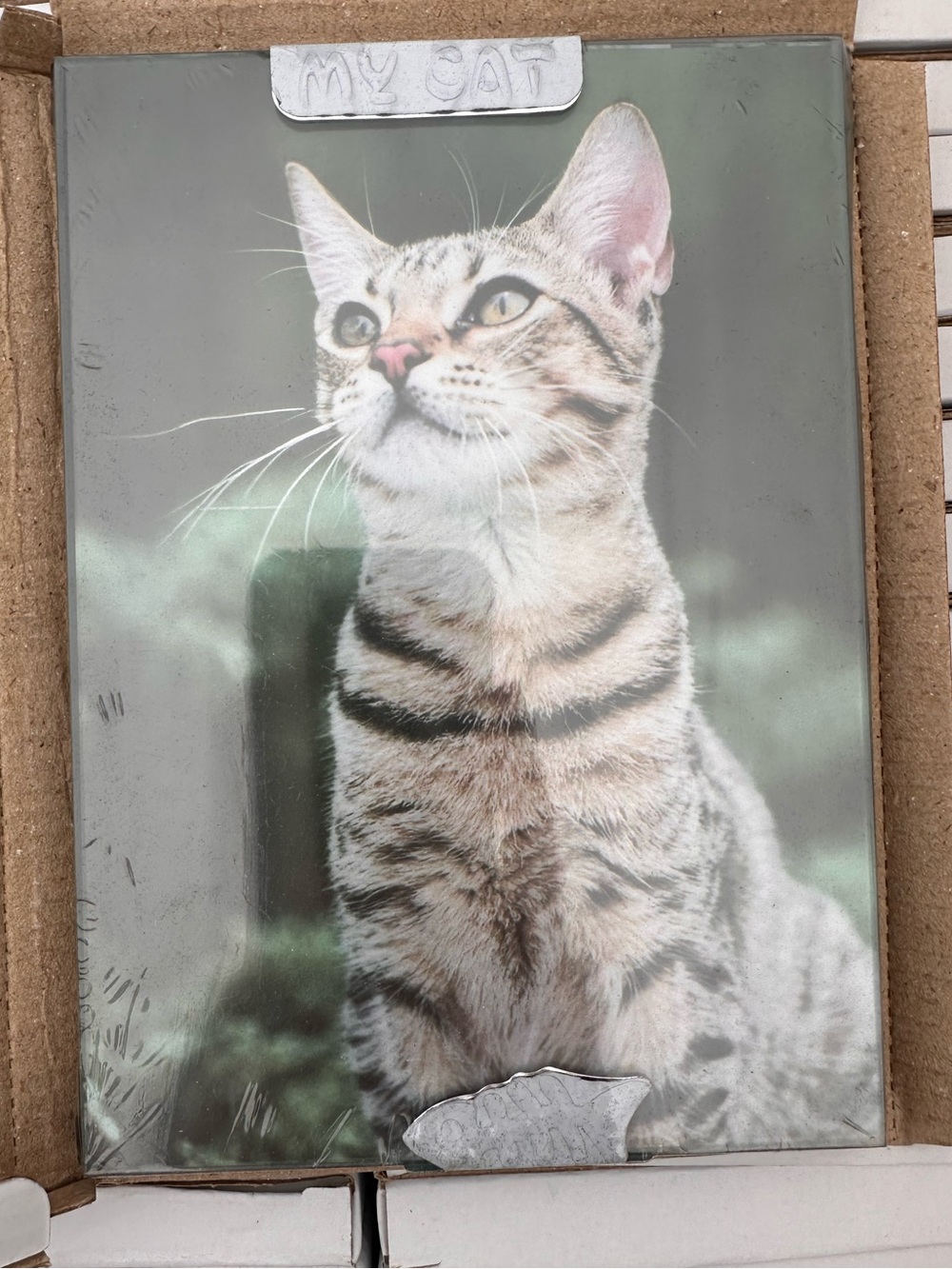 I Love My Cat 5x7 Picture Frames – Set of 3 🐱🖼️